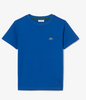 t-shirt lacoste da bambino