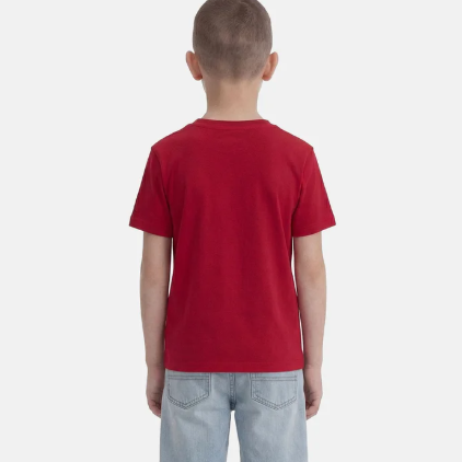 t-shirt jordan da bambino 95F483R78 JORDAN