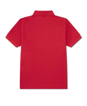 polo lacoste da bambino 
