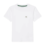 t-shirt lacoste da bambino